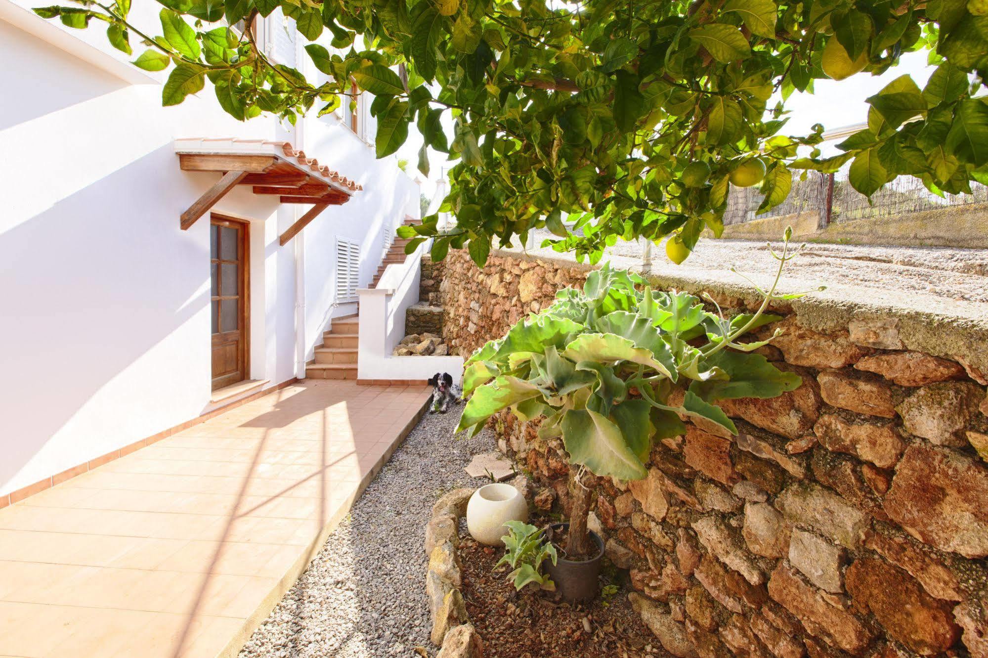 Apartamentos Colomar Santa Eularia des Riu Exteriér fotografie